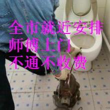 合肥瑶海区志邦家政服务部 专业家政服务，为您的家庭焕发温馨与洁净